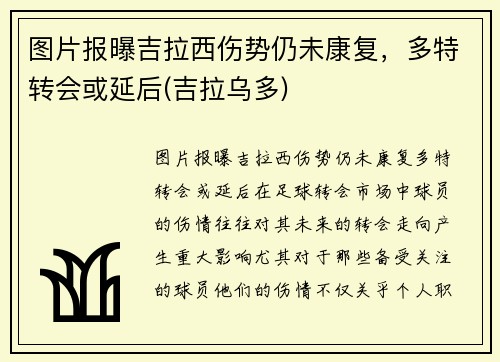 图片报曝吉拉西伤势仍未康复,多特转会或延后(吉拉乌多)