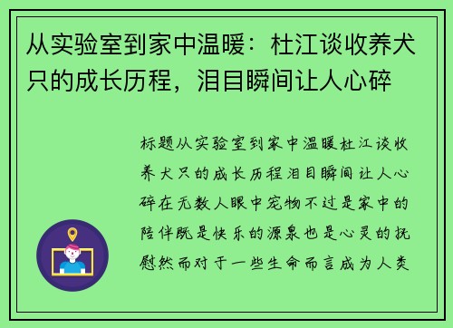 从实验室到家中温暖:杜江谈收养犬只的成长历程,泪目瞬间让人心碎 从实验室到家中温暖:杜江谈收养犬只的成长历程,泪目瞬间让人心碎