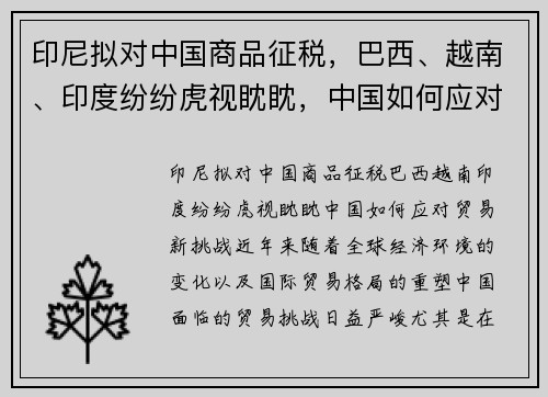 印尼拟对中国商品征税,巴西、越南、印度纷纷虎视眈眈,中国如何应对贸易新挑战? 印尼拟对中国商品征税,巴西、越南、印度纷纷虎视眈眈,中国如何应对贸易新挑战?