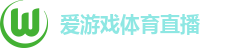 爱游戏体育直播